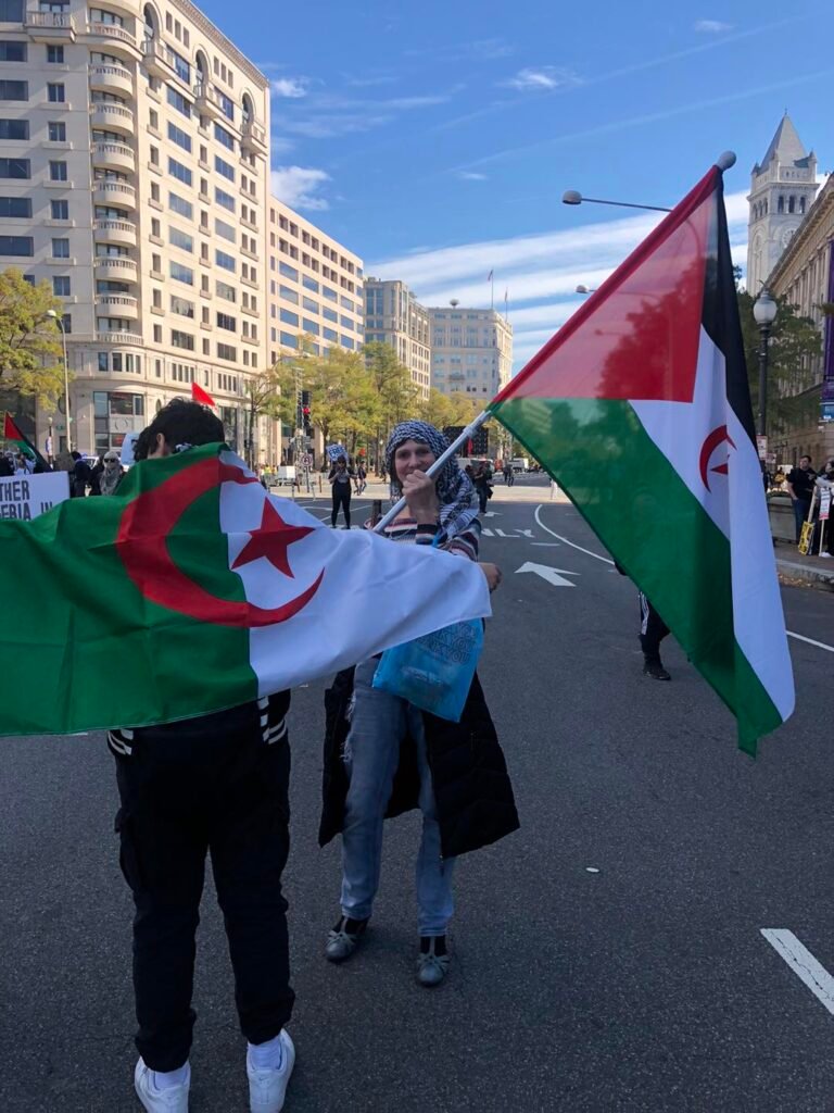 Wynd Kaufman is raising the Western Sahara flag in support of the Gaza demonstration in 2023.